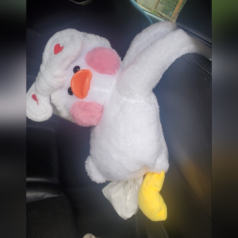 Car Tissue Holder
